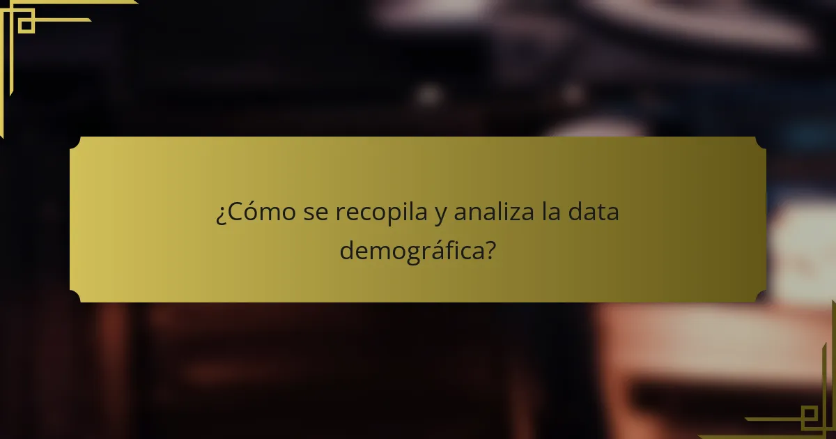 ¿Cómo se recopila y analiza la data demográfica?