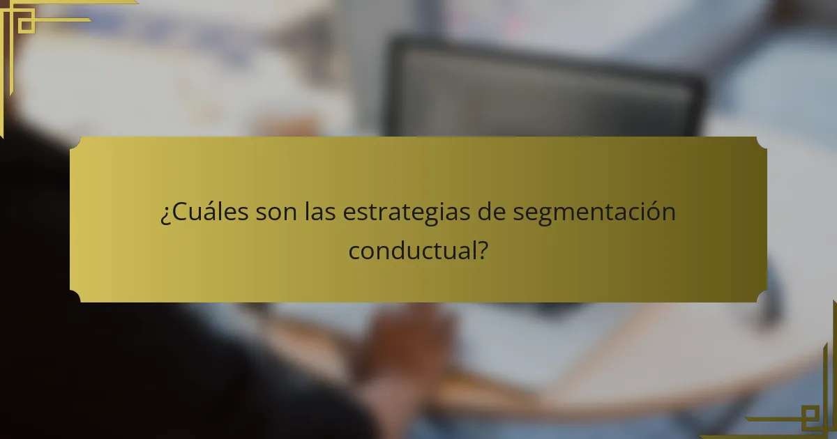 ¿Cuáles son las estrategias de segmentación conductual?