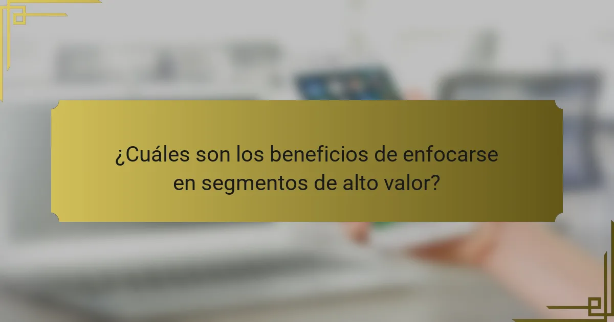 ¿Cuáles son los beneficios de enfocarse en segmentos de alto valor?