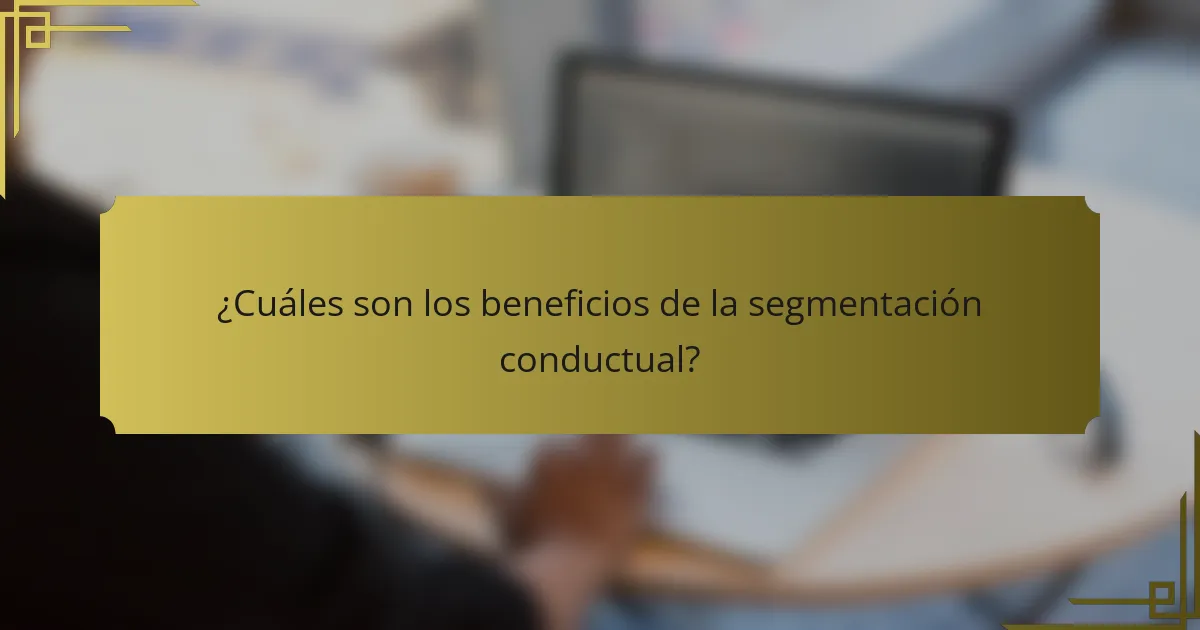 ¿Cuáles son los beneficios de la segmentación conductual?